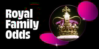 Royal Family Odds: Will Prince Harry or William Become King?