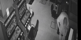 WATCH: Burglar Found Hiding Behind Bandit After Breaking Into Nottingham Casino Jailed