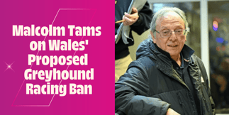 Interview with Malcolm Tams, Manager at Valley Greyhound Racetrack