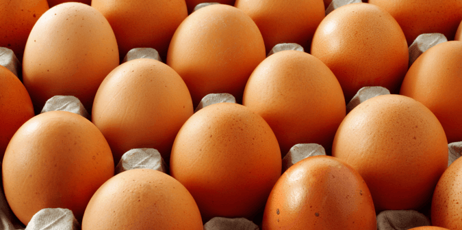 United State's Favorite Way To Cook Eggs By State 2023