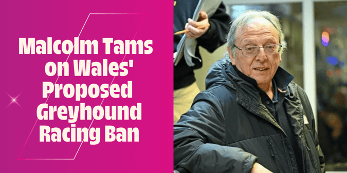 Interview with Malcolm Tams, Manager at Valley Greyhound Racetrack