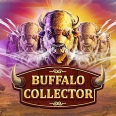 Buffalo Collector