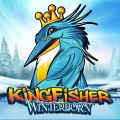 Kingfisher Winterborn