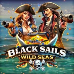 Black Sails Wild Seas