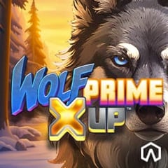 Wolf Prime X UP