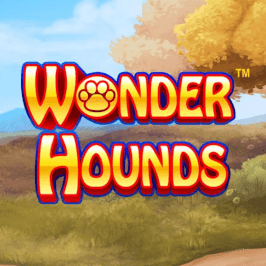 Wonder Hounds Game Logo