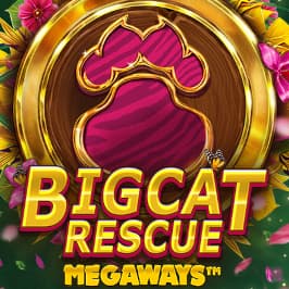 Big Cat Rescue Megaways Game Logo