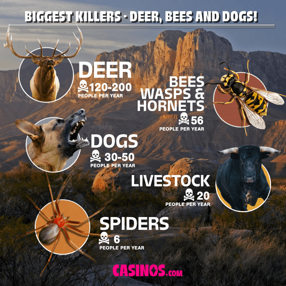 Most Vicious Animals for human deaths