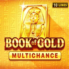 Book of Gold Multichance Game Logo