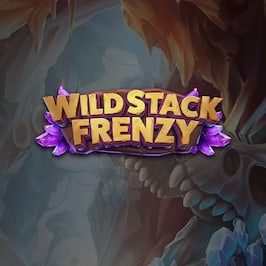 Wild Stack Frenzy Game Logo