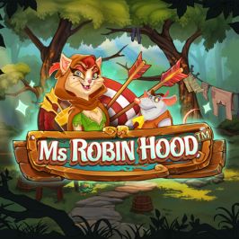 Ms Robin Hood Game Logo