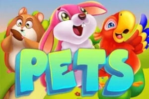 Pets Game Logo