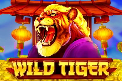 Wild Tiger Game Logo