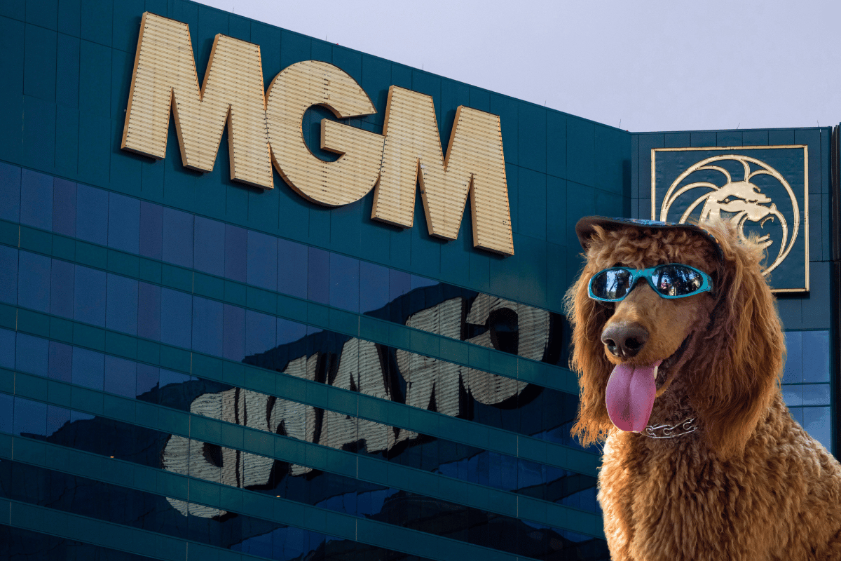 MGM Resorts Dog-Friendly