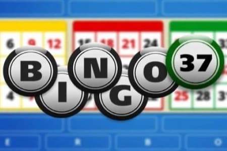 Bingo 37 Game Logo