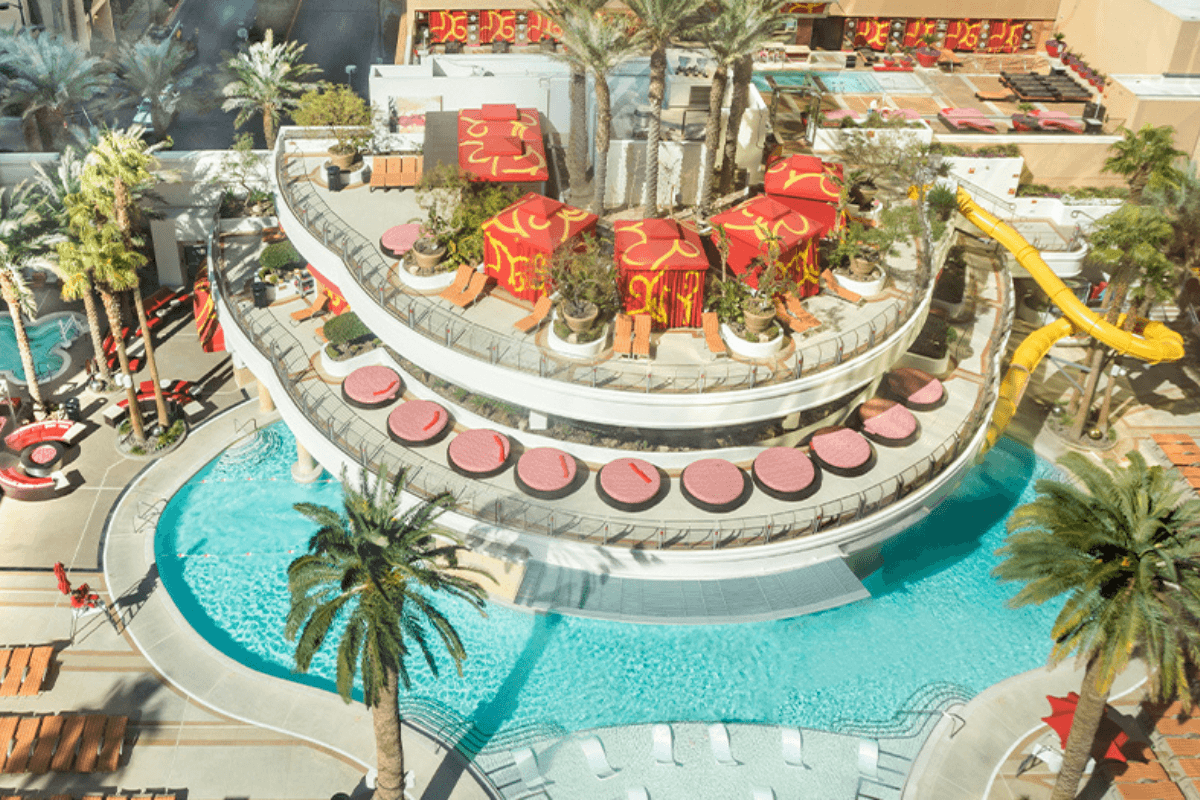 Golden Nugget swim with sharks