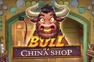 Bull in a China Shop Game Logo