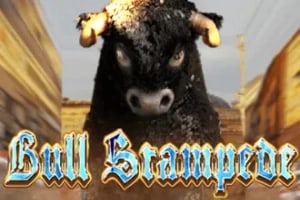 Bull Stampede Game Logo