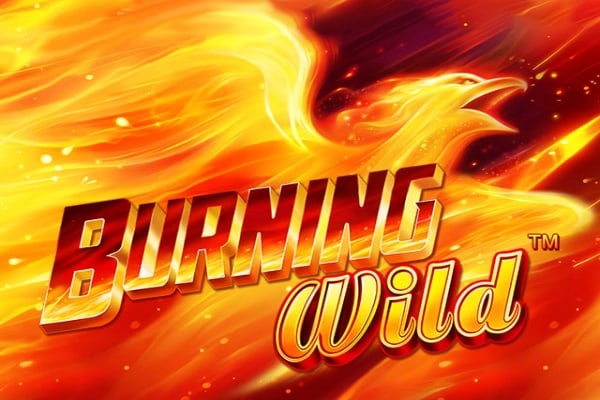 Burning Wild Game Logo