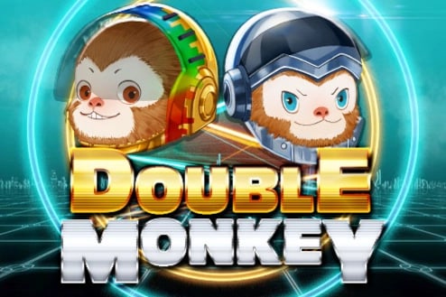 Double Monkey Game Logo